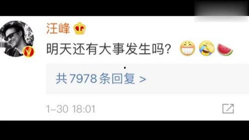 绑定娱乐圈吃瓜,幕后真相与明星隐私曝光  第2张