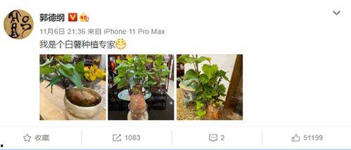 纯属娱乐爆料是什么意思,揭秘娱乐圈幕后真相 第1张 纯属娱乐爆料是什么意思,揭秘娱乐圈幕后真相 第1张