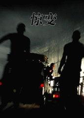 惊变在线观看影片,在线观影揭秘神秘事件  第2张